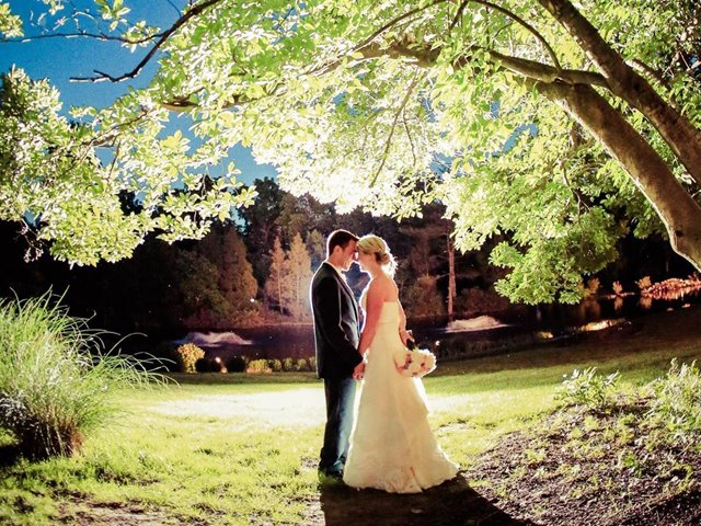 ¿Bodas sostenibles? Te damos varias ideas para llevar tu conciencia ecológica hasta el altar