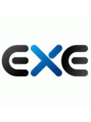 exé