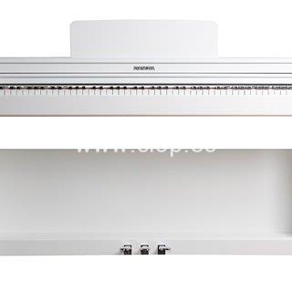 Piano Casio R567 - Imagen 1