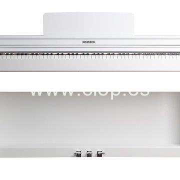 Piano Casio R567 - Imagen 1